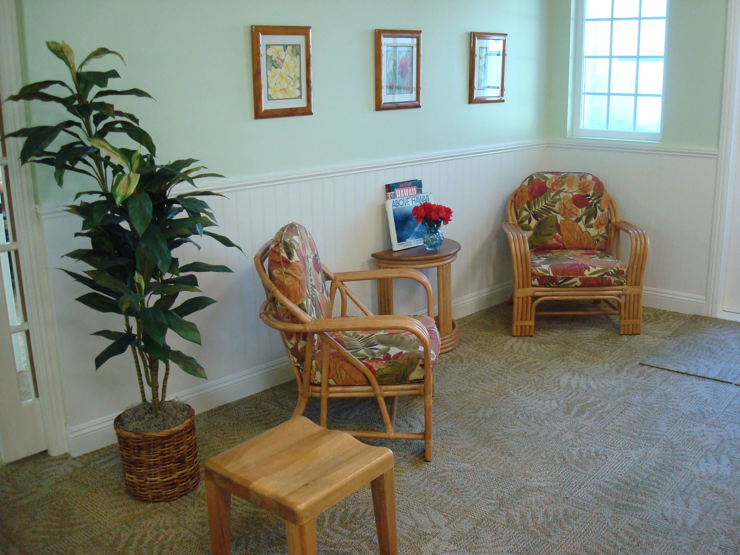 Island Fender gallery 2