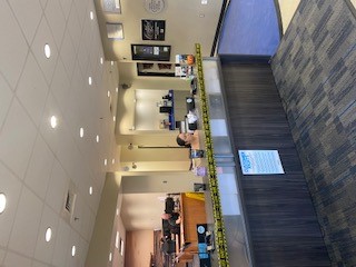 Hall Automotive Body and Paint Shop gallery 2